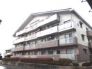 コーポレート小金井梶野通り6号棟の間取り画像