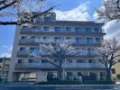 エストゥルース府中の間取り画像