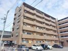 ハロー・コートMMの間取り画像