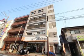 ヴィラ楽々園の外観画像