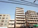 グランシャリオの間取り画像