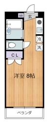 パンドーラ御殿山の間取り画像
