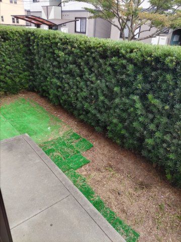 庭