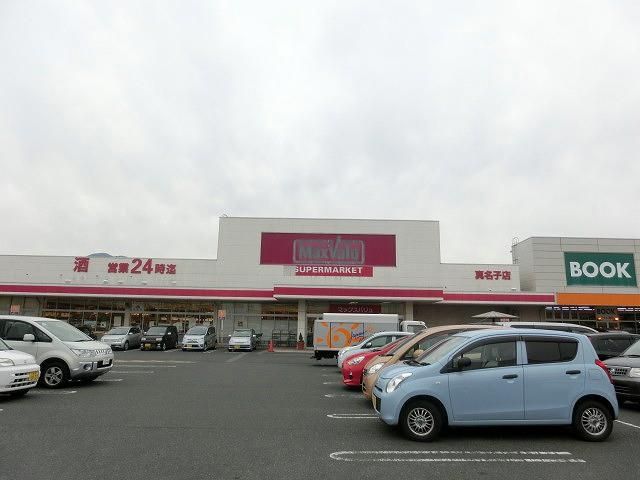 マックスバリュ真名子店 (625m)