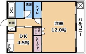 湖琴マンションの間取り画像