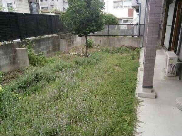 庭