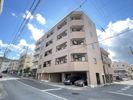 ピア本町の間取り画像