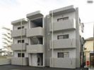 クレセント市坪の間取り画像