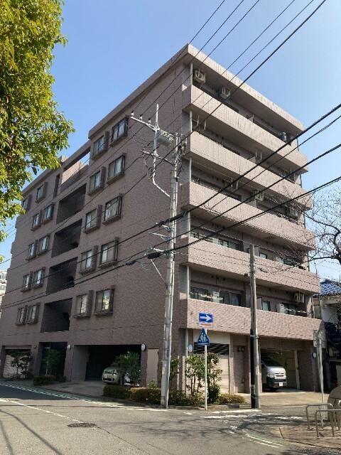 ラ・ビスタ パークハウスの外観画像