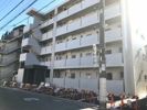 Felsenの間取り画像