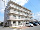 シーサイド操明の間取り画像
