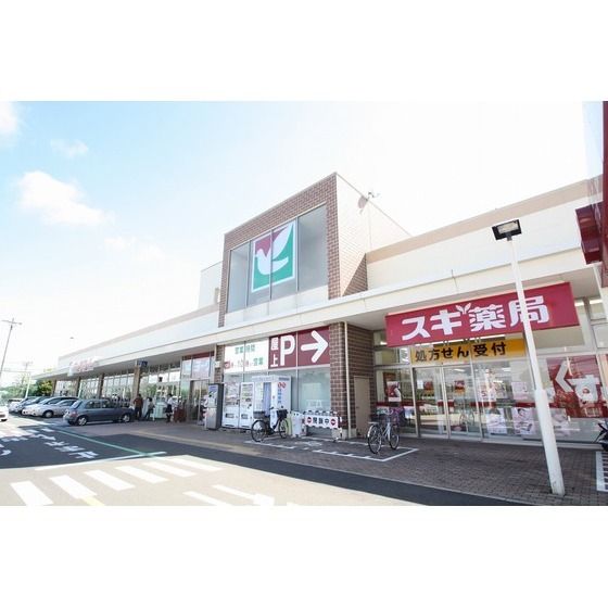 ドラッグストア 「スギ薬局南毛利店まで1100m」
