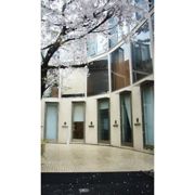 サクラノキテラス中目黒の外観画像