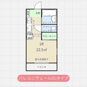 パレ・ユニヴェールの間取り画像