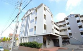 カレッジシティハイツの外観画像