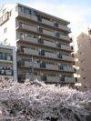 バイムフルス白金Ⅰの間取り画像