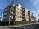 パレ武蔵小金井の間取り画像