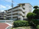 キャッスル絵図町の間取り画像
