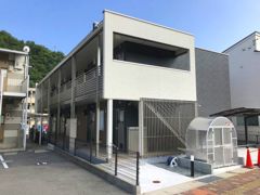 クレイノファレノプシスの外観画像