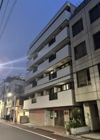 レッドウィングの外観