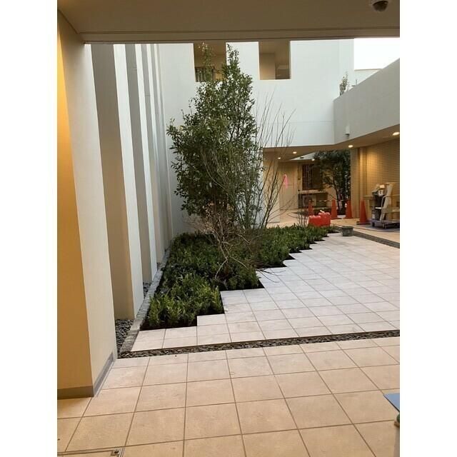 庭