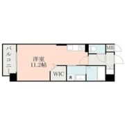 SpringCourt近見の間取り画像