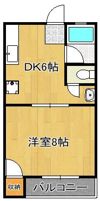 グレイスコート井掘の間取り画像