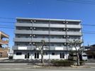ハレレアⅡの間取り画像