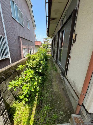 庭