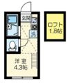 マーベラス国分寺本多の間取り画像