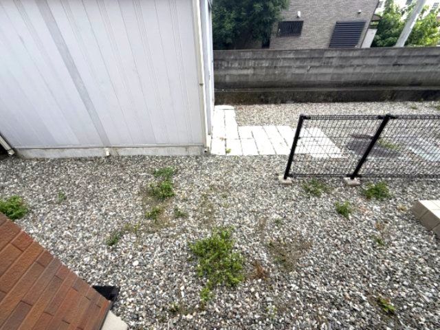 庭