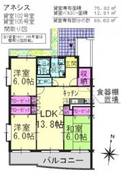 アネシスの間取り画像