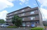 サンハイツ白山の間取り画像