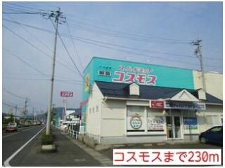 コスモスまで230m
