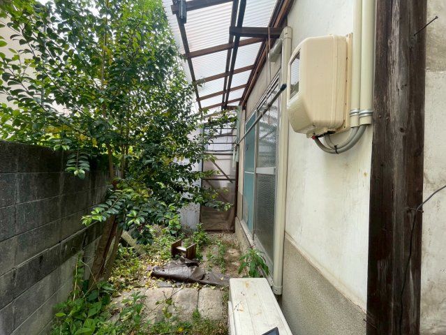 庭