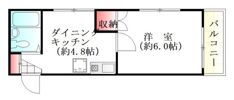 メゾンダイアナイン皆実の間取り画像