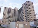 サーパス中須賀の間取り画像