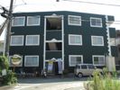 ウォークス島崎の間取り画像