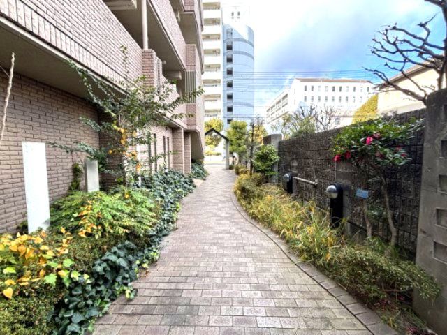 庭