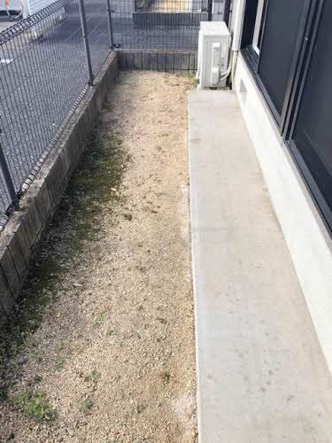 庭