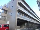 阿部松島マンションの間取り画像