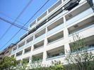メゾンカルム市谷仲之町の外観画像