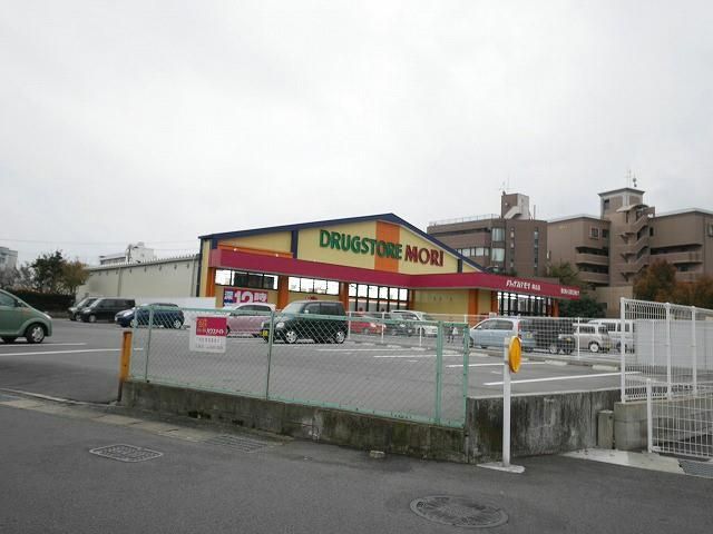 ドラッグストアモリ南丘店 (1120m)