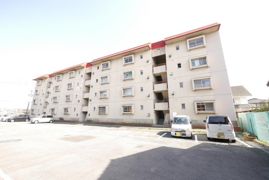 ラナンキュラスの外観画像