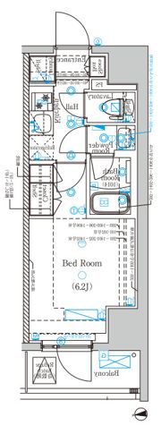 DIPS亀有駅前の間取り画像