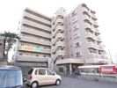 アーバンハイツ南台の間取り画像
