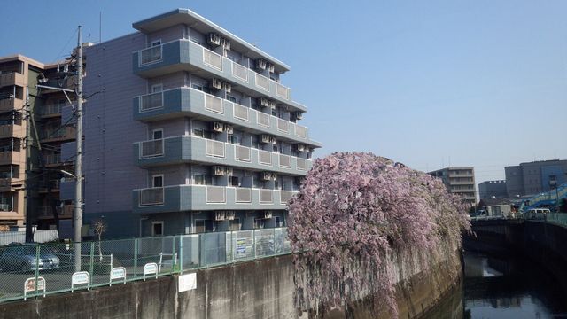 アムール祥の外観画像