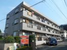 サンライズ根岸台の間取り画像