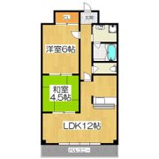 グレースコート洛 2-Fの間取り画像