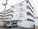 メゾン中村5の間取り画像